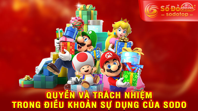 quyền và trách nhiệm trong điều khoản sự dụng của sodo