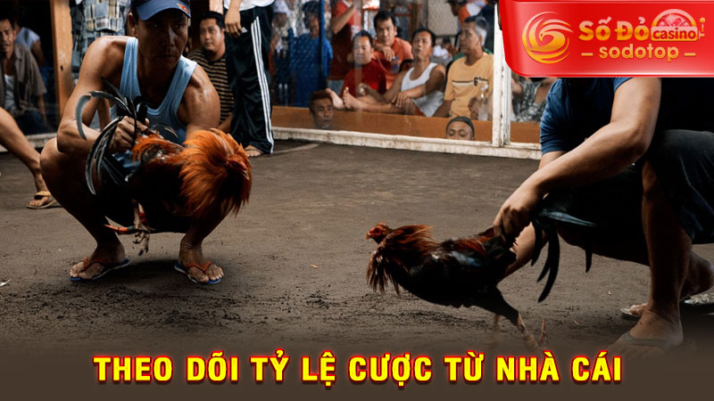 theo dõi tỷ lệ cược từ nhà cái